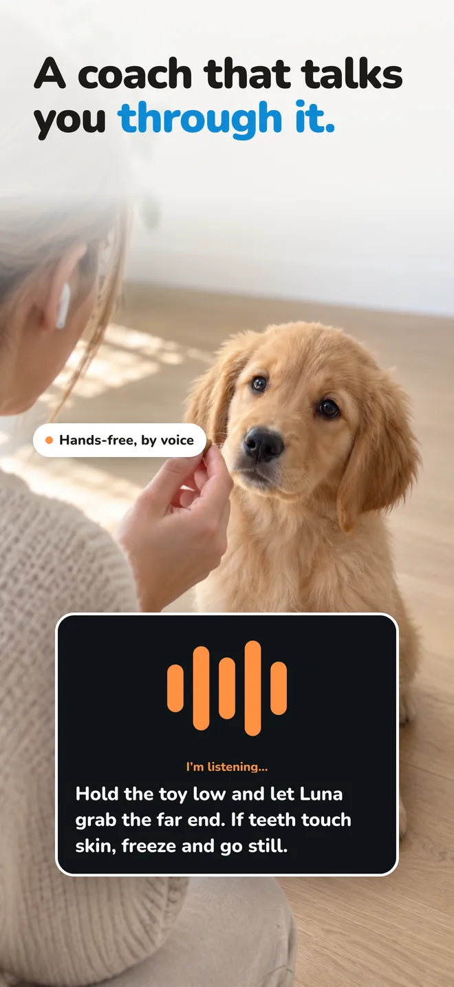 A voice coach while you practice