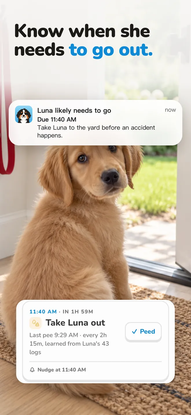 Potty reminders before accidents